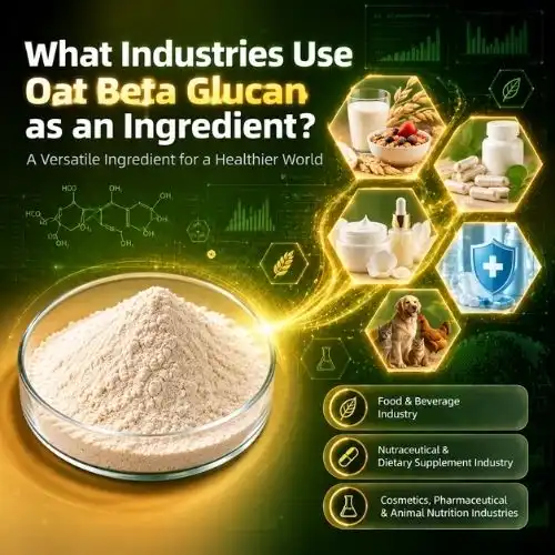 What Industries Use Oat Beta Glucan as an Ingredient?